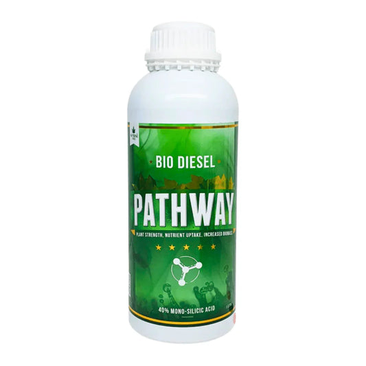 Bio Diesel Pathway Silica 250ml