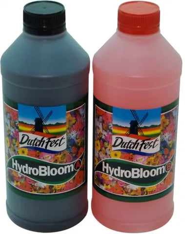 Dutch Fest Bloom A&B