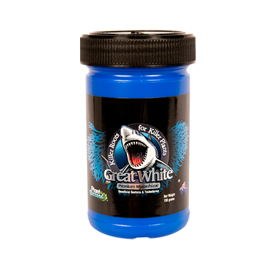 Great White