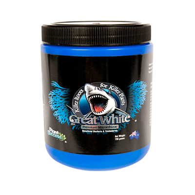 Great White