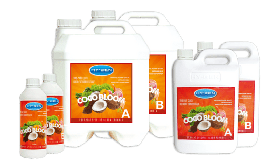 Hy-Gen Coco Bloom