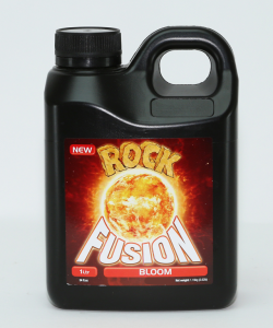 Rock Fusion Bloom 1 Part