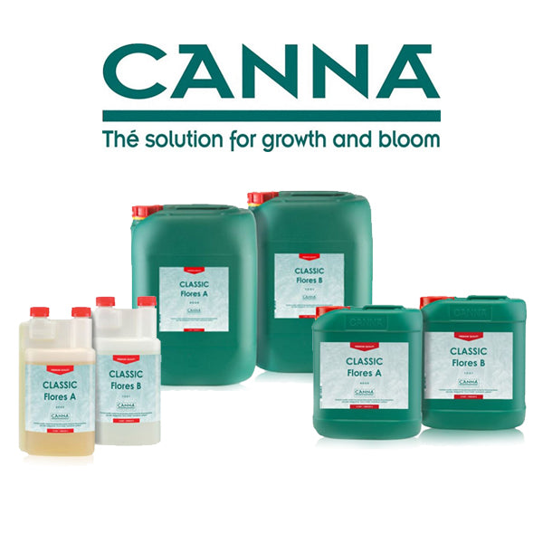 Canna Flores A+B