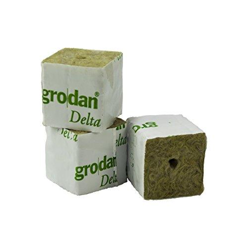 Propagation Grodan Cubes