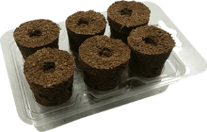 Eazy Plug 6 plug seed tray