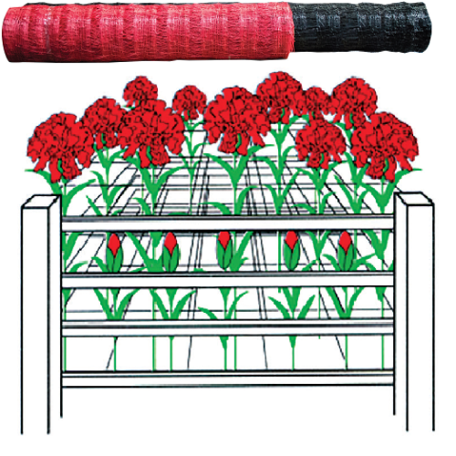 Netting (Scrog) – Green Acres Hydroponics
