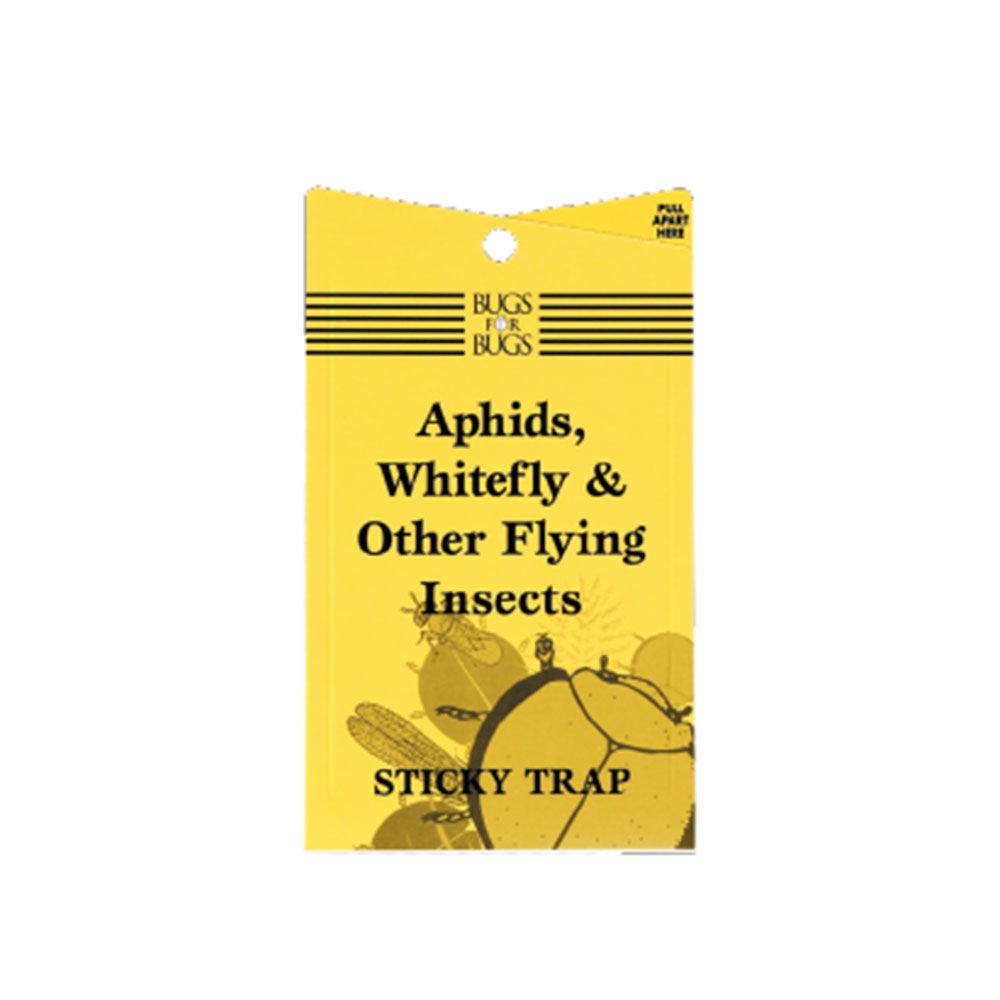 Sticky Fly Traps – Green Acres Hydroponics