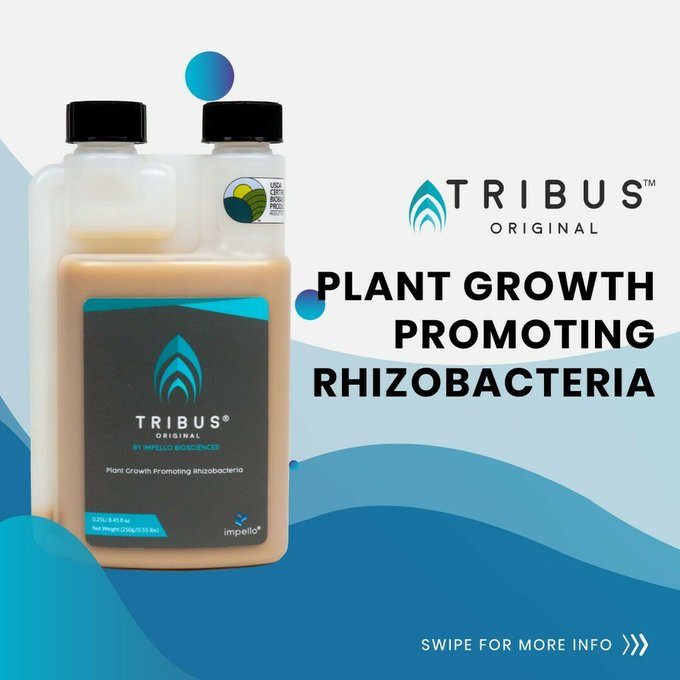 Tribus Microbial 250ml